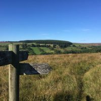 11. Bridleway from the forest and moors to the farm.jpeg