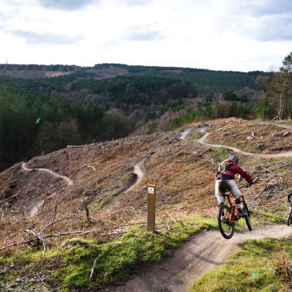 Cannock Chase Trail