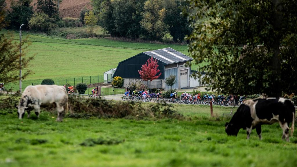 Ronde van Vlaanderen 2020. © Lars