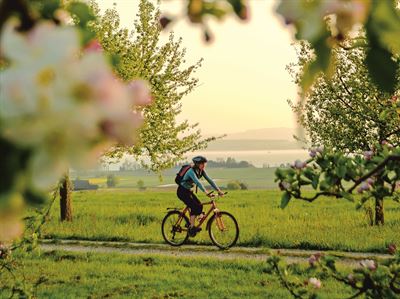 Cycling Your Way To Better Mental Health