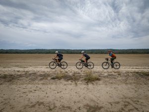 From Ozarks to Delta Blues